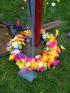 2016%20Beltane%20Wreath%20at%20Bottom%20of%20Maypole.JPG